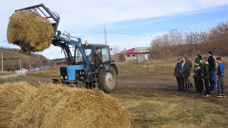 школьники из Бугульминского района познакомились с сельскими профессиями на практике