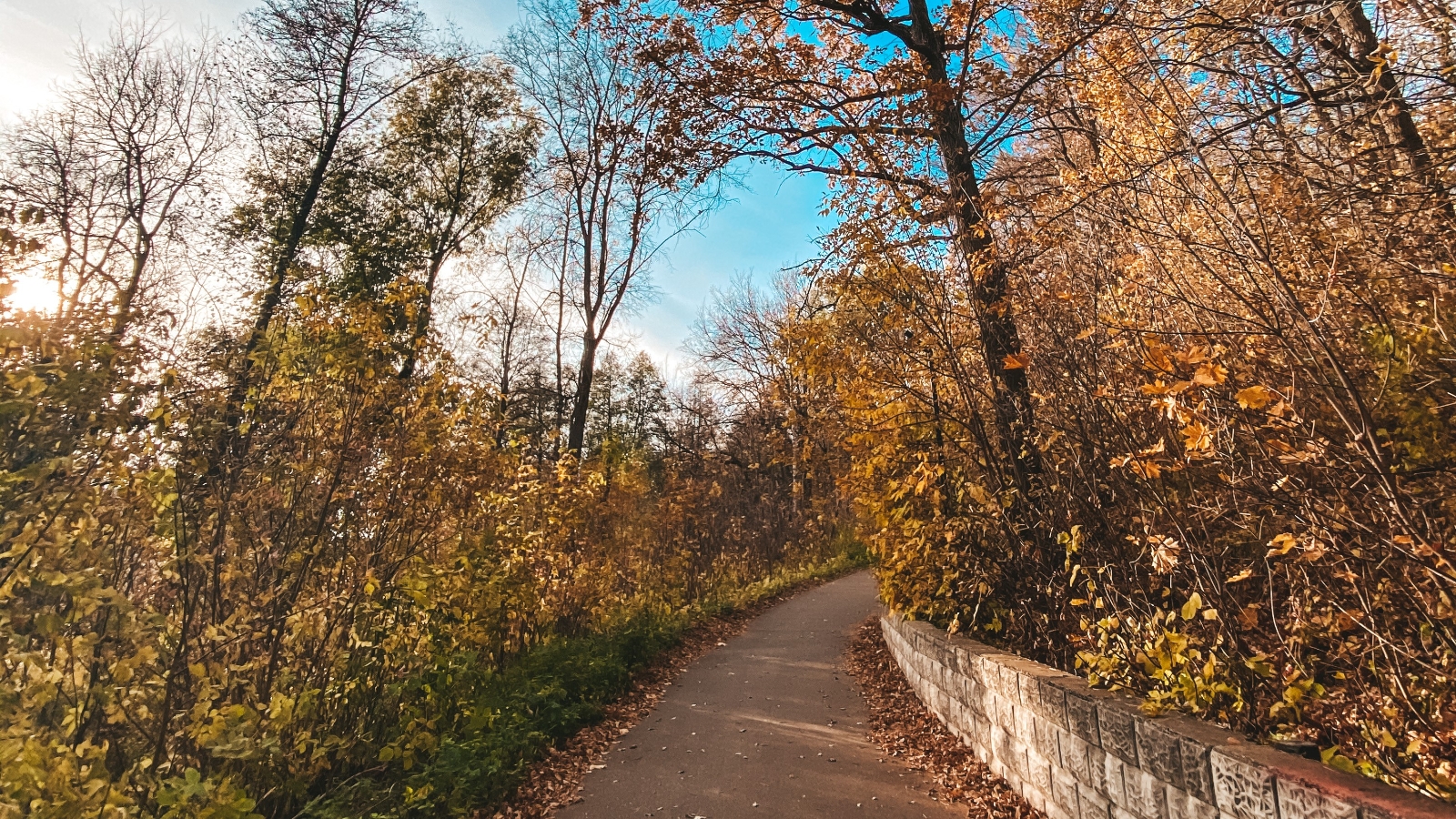 Лениногорск лесопарк фото