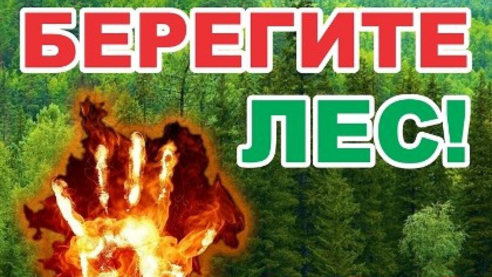 Штормовое предупреждение о высокой чрезвычайной пожарной опасности лесов на  территории Республики Татарстан | 20.05.2023 | Лениногорск - БезФормата