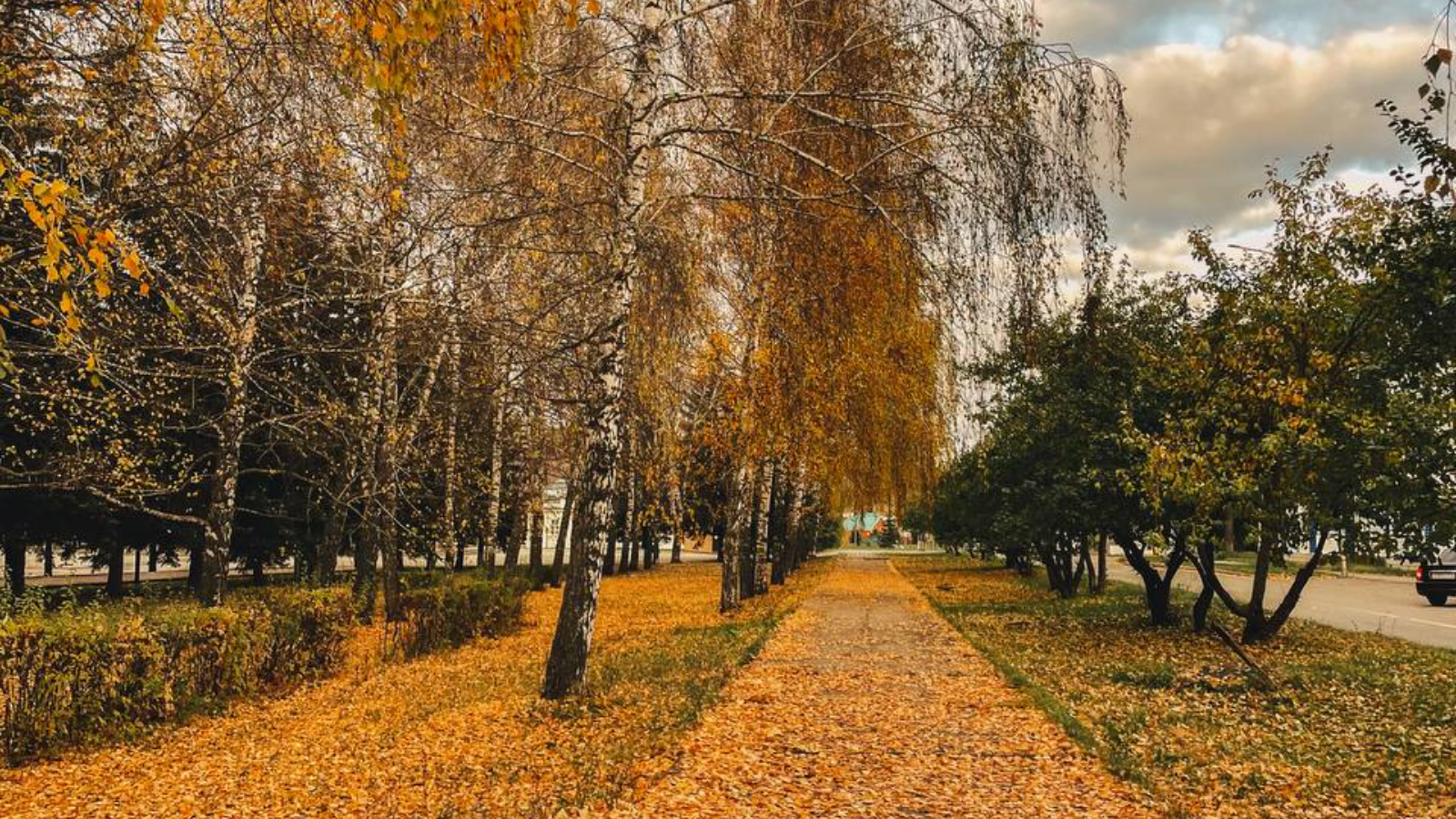 Лениногорский муниципальный район и город Лениногорск