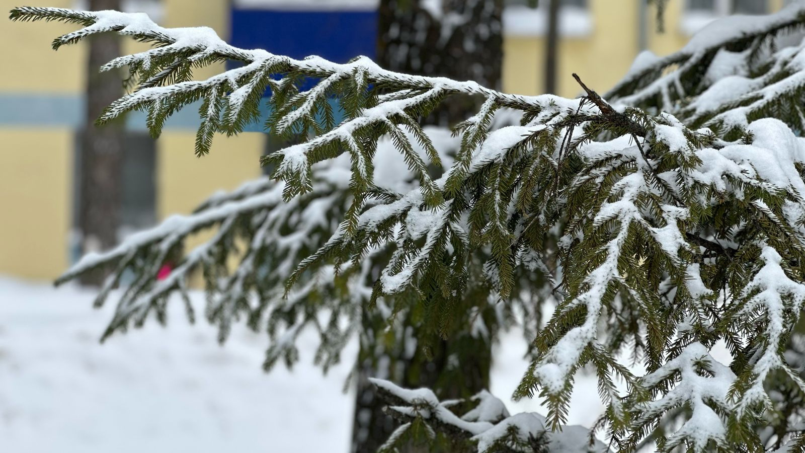 Намаз лениногорск на сегодня