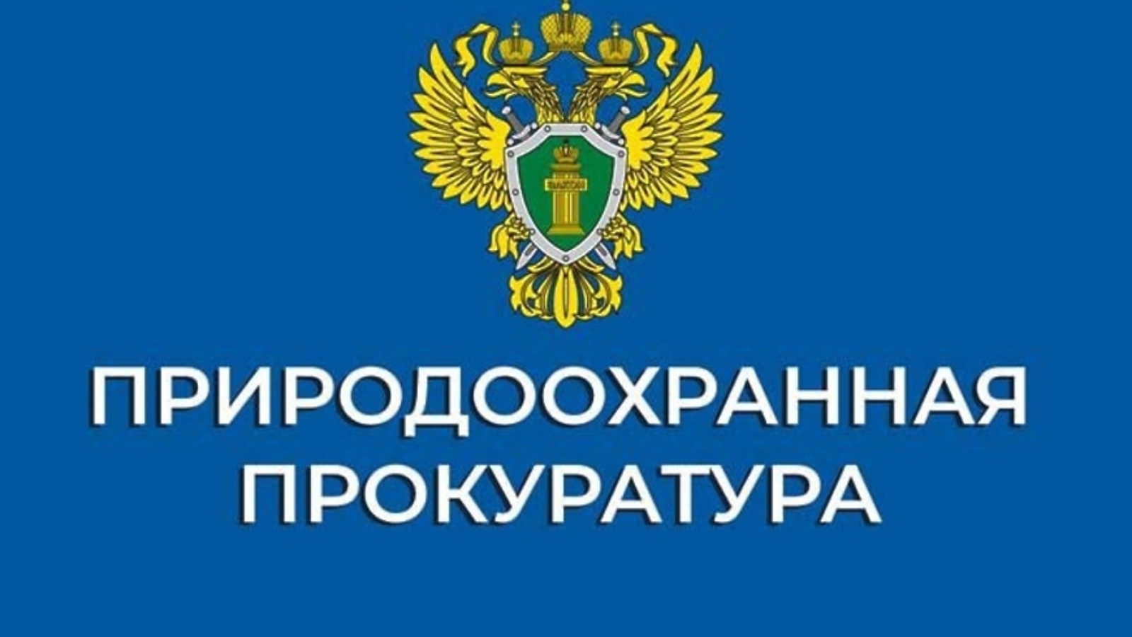 Казанская межрайонная природоохранная прокуратура информирует | 21.06.2024  | Лениногорск - БезФормата