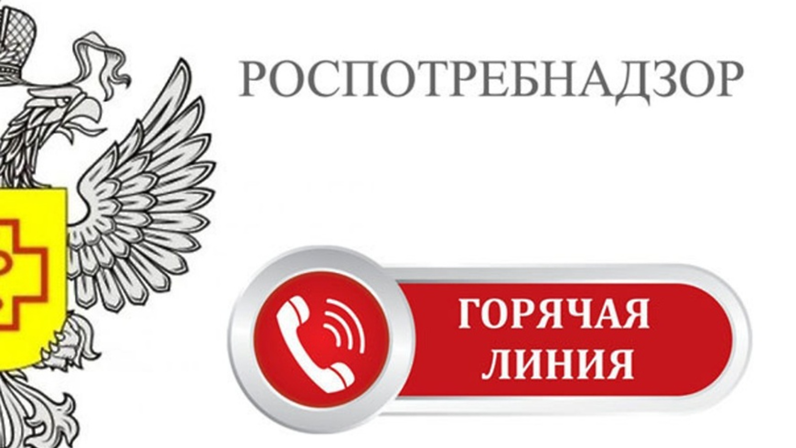 Управление Роспотребнадзора проведет с 8 по 19 июля «горячую линию» по  вопросам защиты прав потребителей при оказании платных образовательных услуг  | 10.07.2024 | Лениногорск - БезФормата