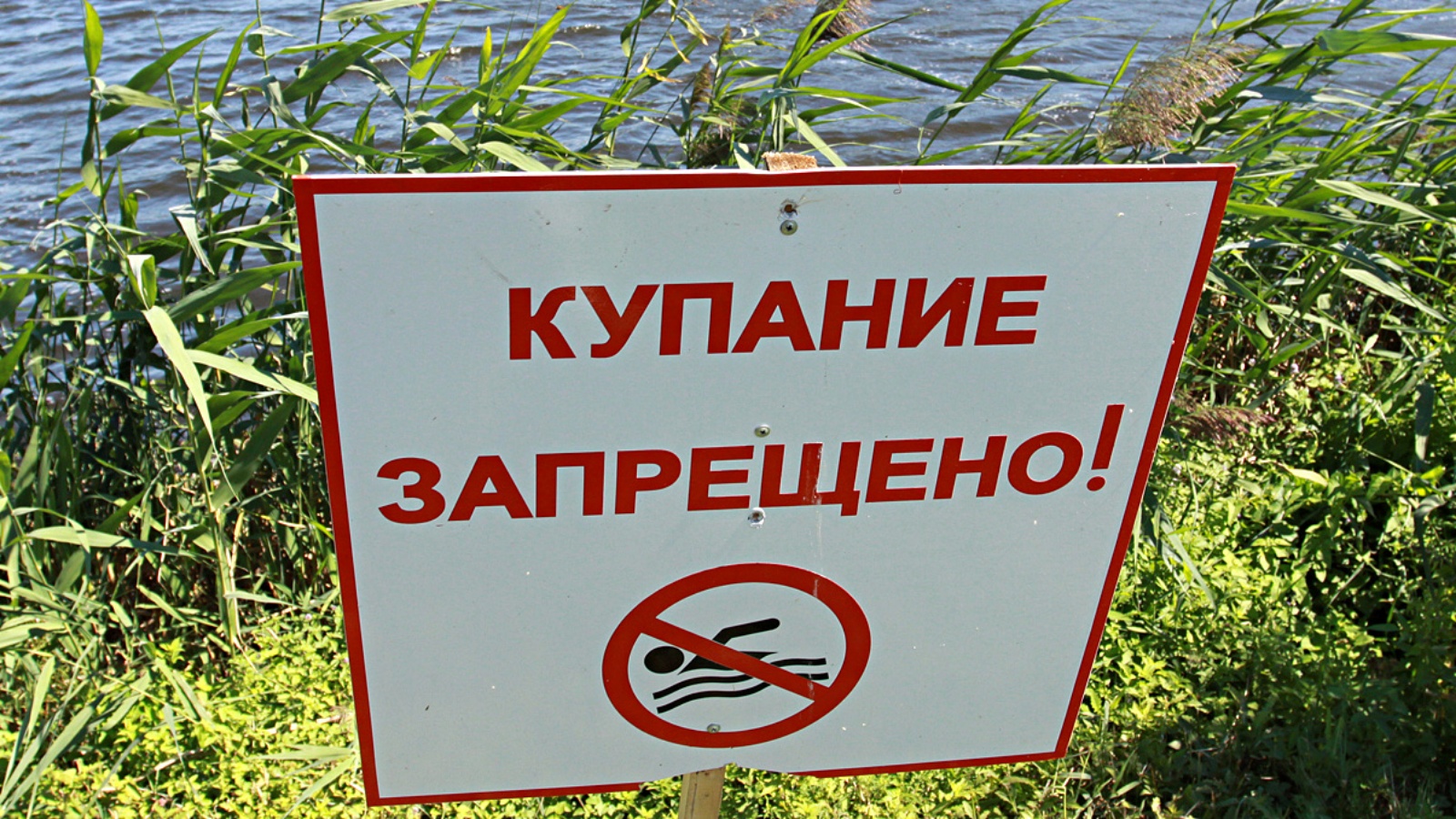 Почему нельзя купаться в озере. Купание запрещено. Купаться запрещено табличка. Запрет купания. Запрещено купаться в водоемах.