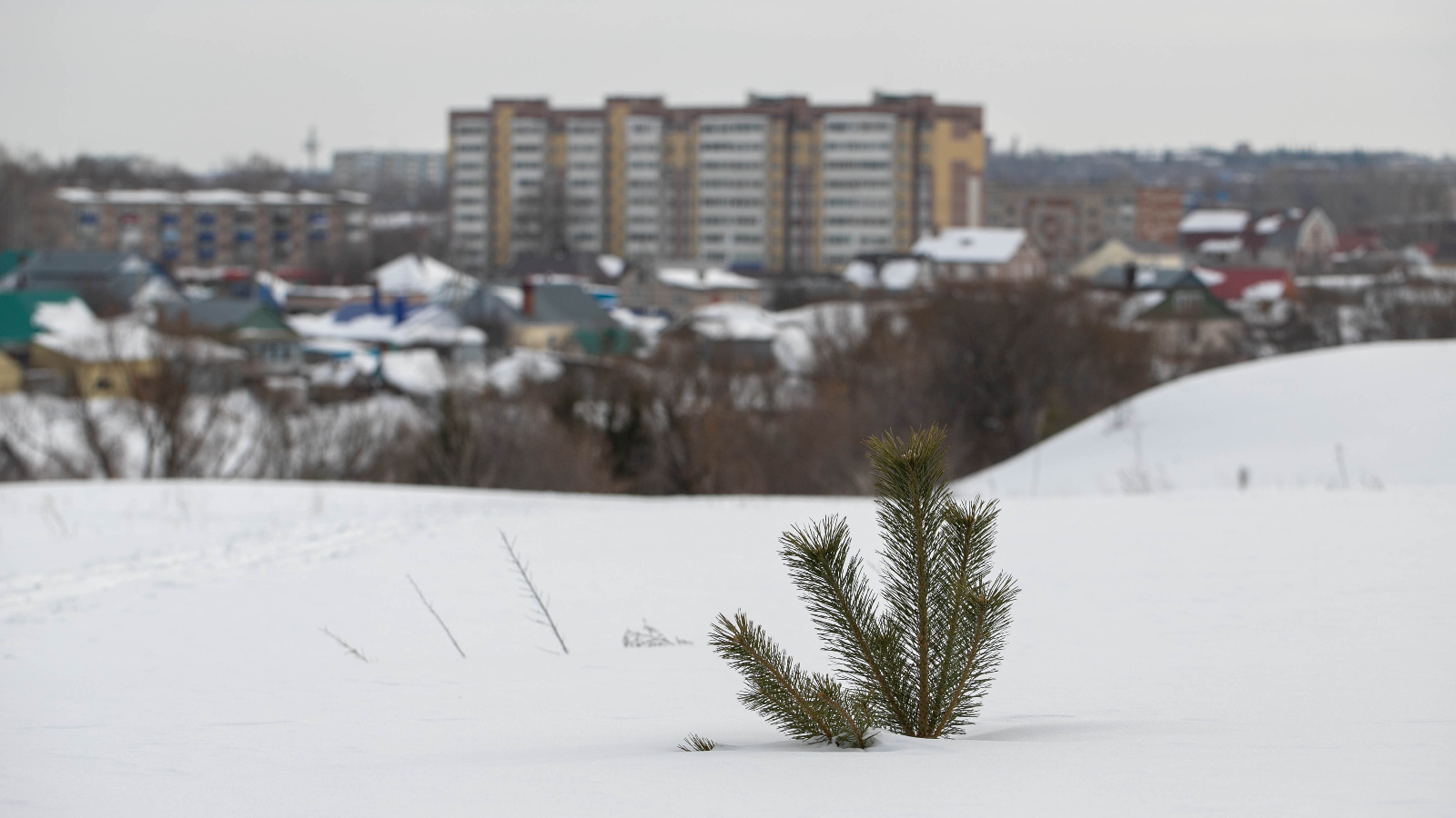 Ленск погода на 14