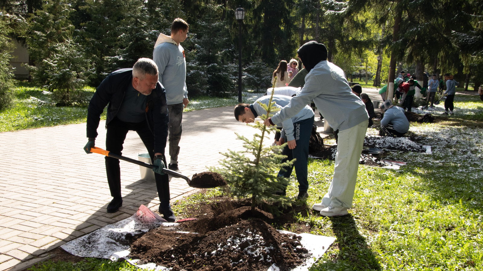 Бугульма присоединилась к Международной акции «Сад Памяти» | 06.05.2024 |  Бугульма - БезФормата