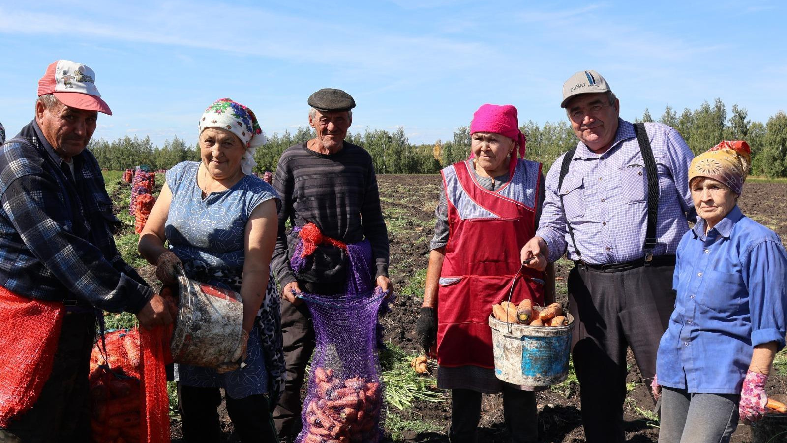 В Буинском районе приступили к копке моркови | 08.09.2023 | Буинск -  БезФормата