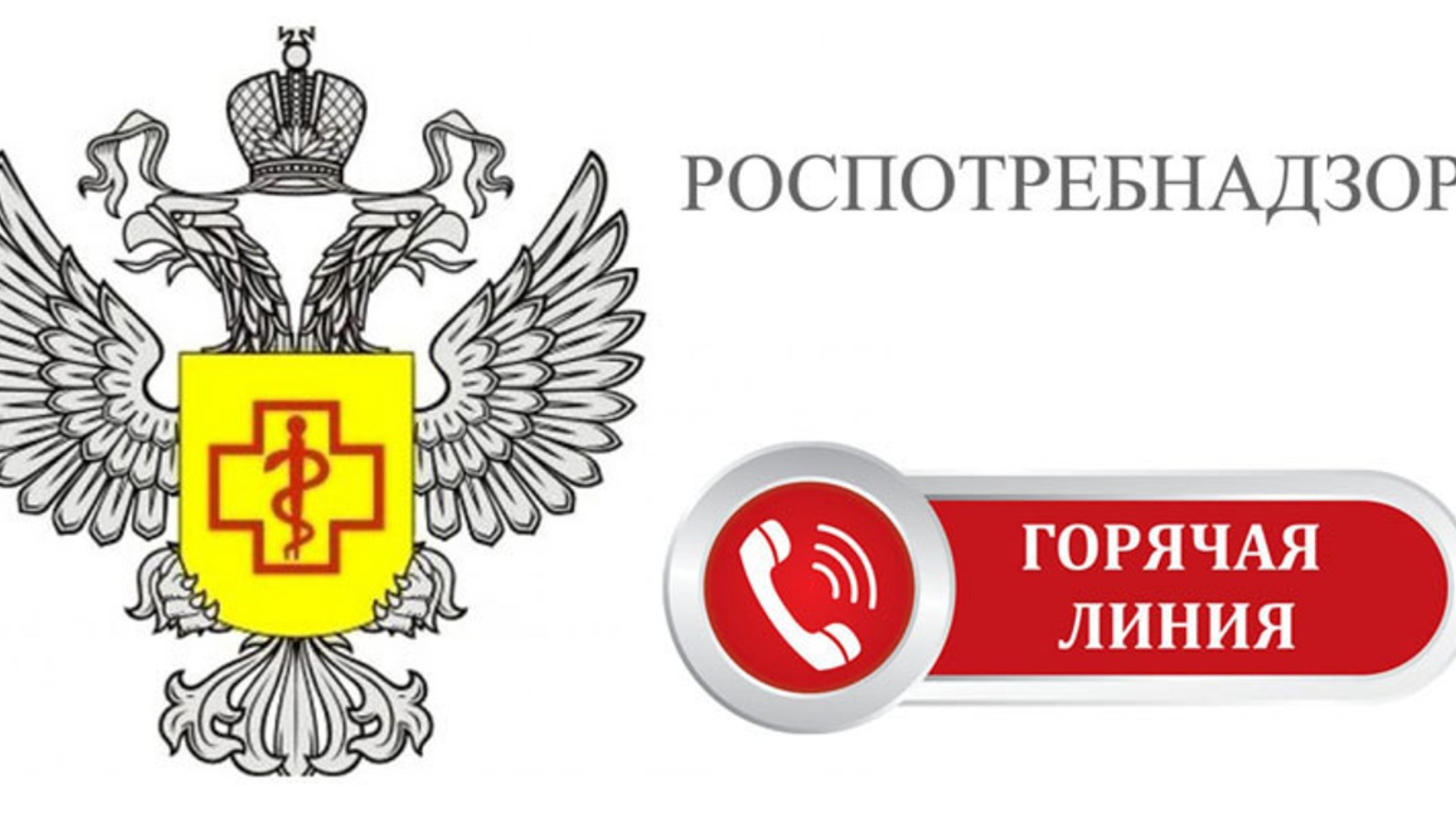 С 28 мая по 07 июня 2024г. будет работать «горячая линия» по вопросам  защиты прав потребителей туристических услуг | 30.05.2024 | Буинск -  БезФормата