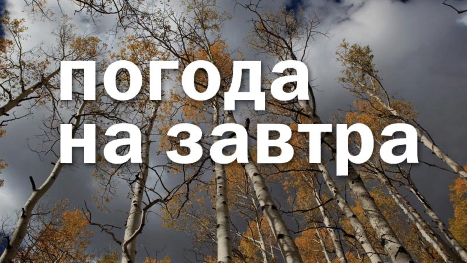 Погода на бору на день. Сосновый Бор завтра. Прогноз погоды в Сосновом Бору. Погода на завтра в Сосновом Бору. Погода на завтра Бор.