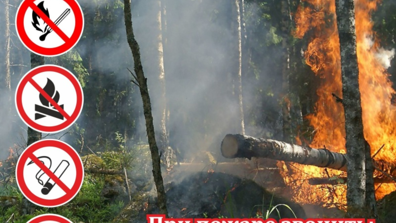 Прогноз пожарной опасности лесов на территории Республики Татарстан |  04.04.2023 | Уруссу - БезФормата