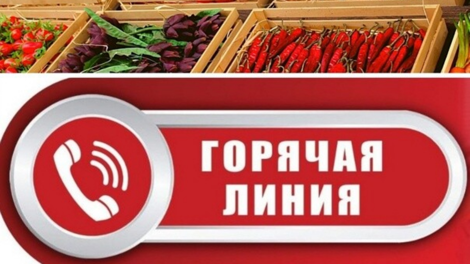 Открой горячий. Безопасность плодоовощной продукции. Горячая линия качество и безопасность плодоовощной продукции. По качеству и безопасности плодоовощной продукции. Горячая линия по плодоовощной продукции.