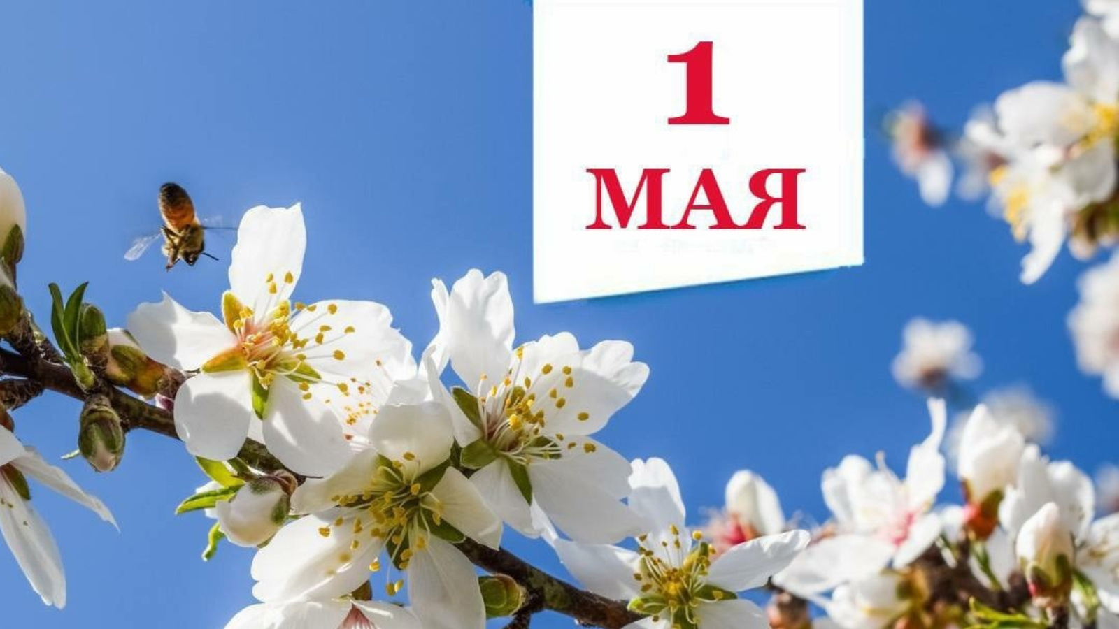 1 мая татарстан