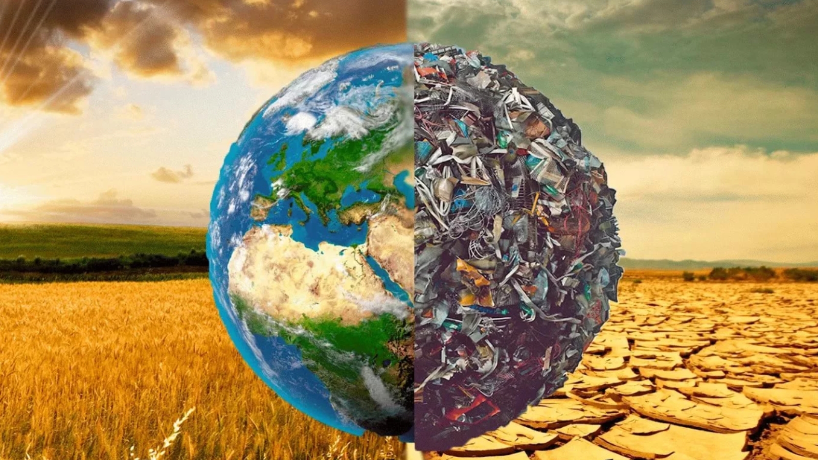 очистим планету от мусора картинки