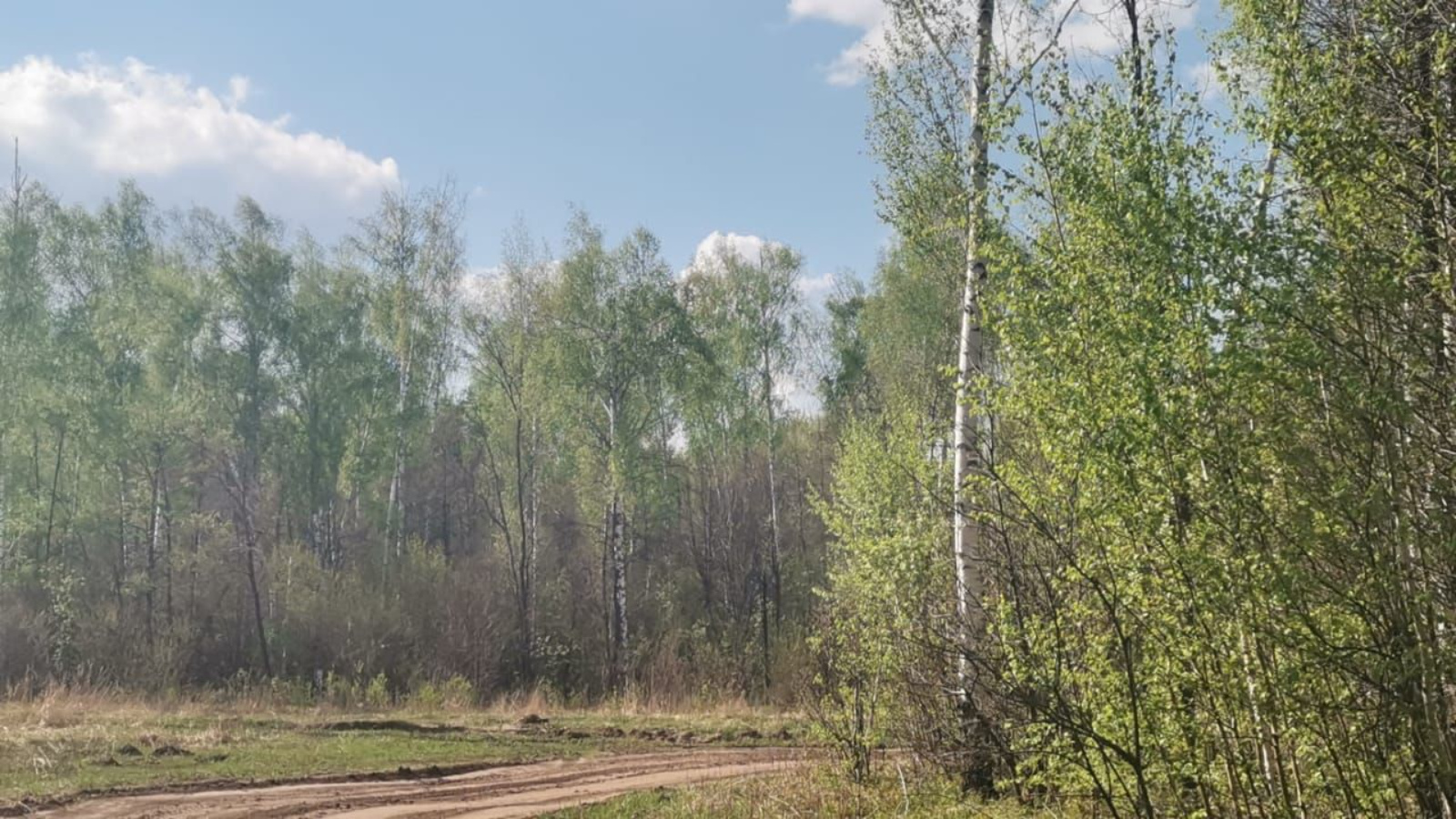 Погода в новой тумбе нурлатского района