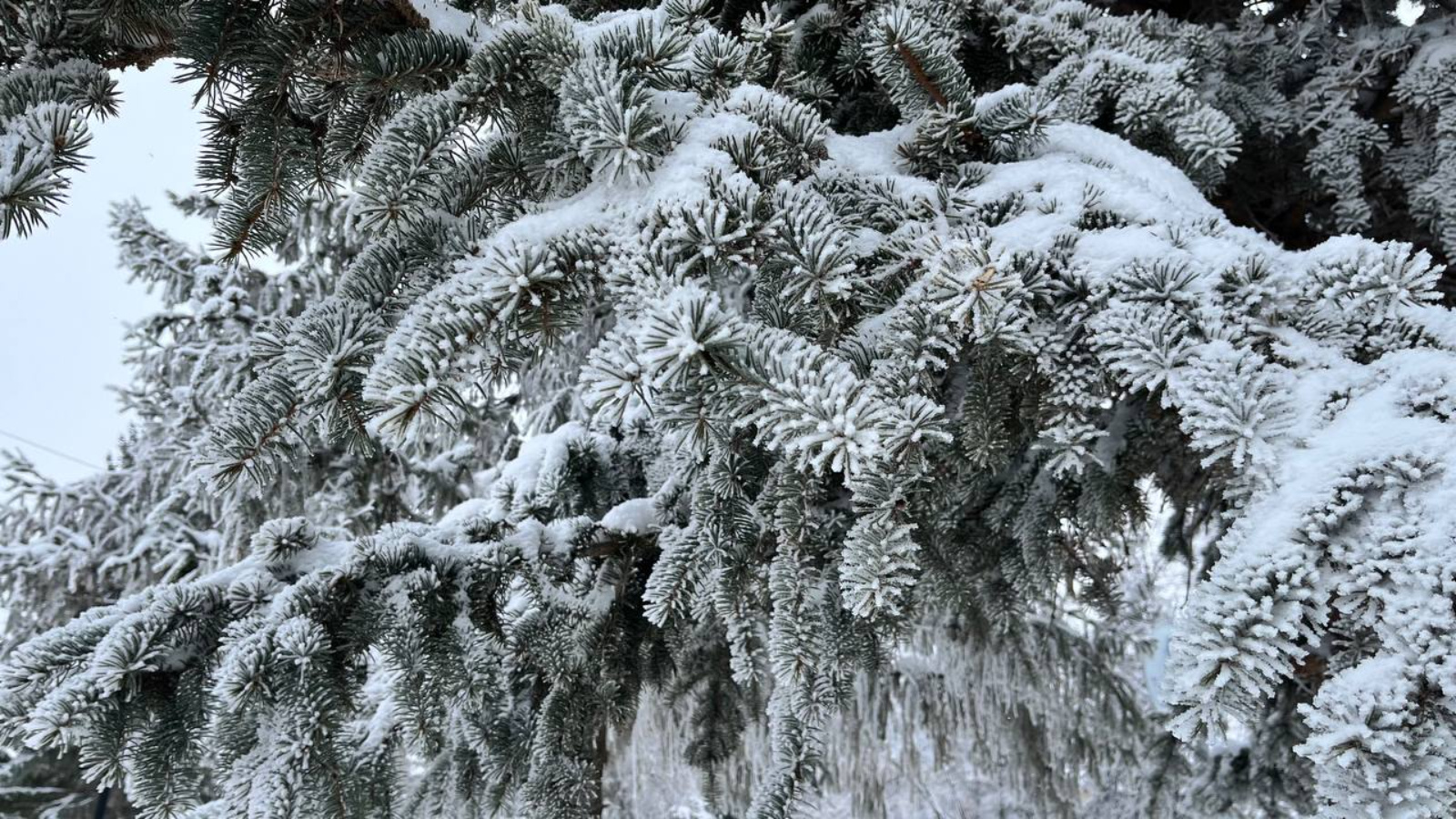 прогноз погоды нурлат гисметео. гисметео курск. прогноз погоды нурлат гисметео. погода в перми на 10 дней. погода сегодня в красноборске.