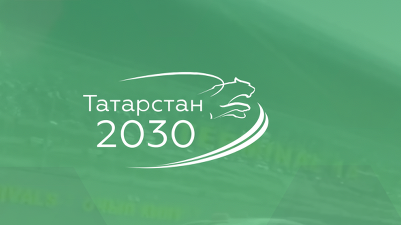 Проект татарстан 2030