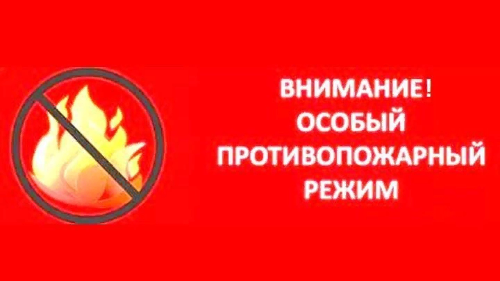 Особый противопожарный. Особый противопожарный режим зимой. Особый противопожарный режим в Ленинградской области. Противопожарный режим ЛЕНОБЛАСТЬ. Особый противопожарный режим в Ленинградской области 2021.