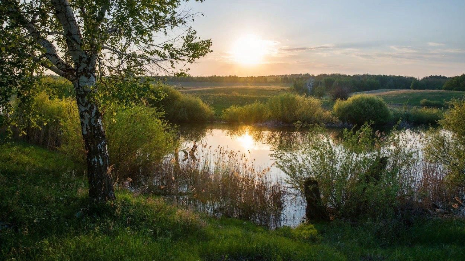 Прогноз погоды в городе Санкт-Петербурге на 19.05.2024