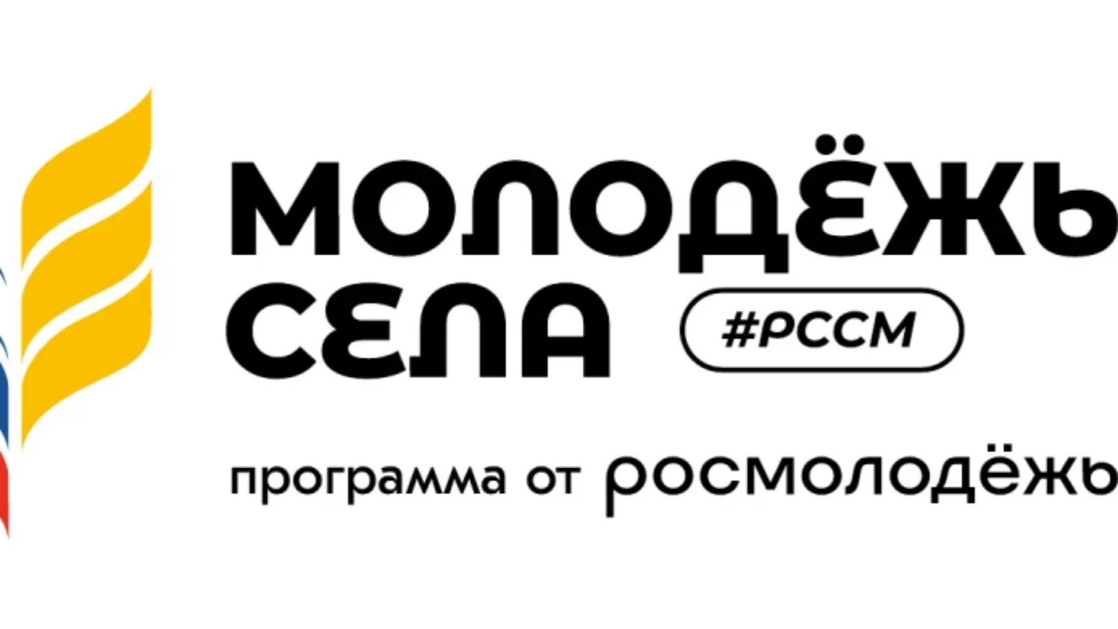 Общероссийская молодёжная общественная организация «Российский союз  сельской молодёжи» реализует проект «Молодые предприниматели села» |  11.04.2024 | Набережные Челны - БезФормата