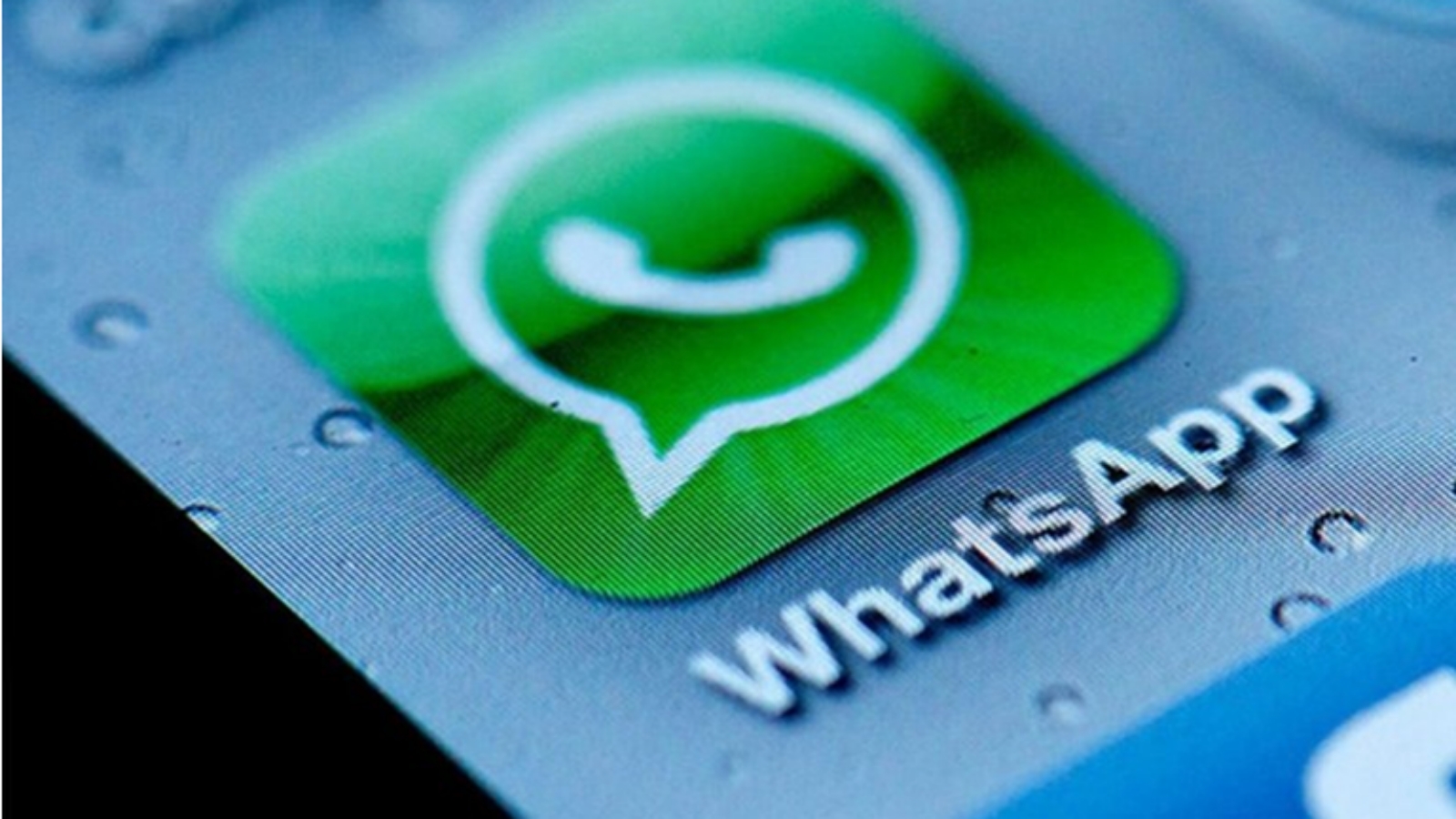 Ваш помощник – Пенсионный WhatsApp Bot | 14.12.2020 | Елабуга - БезФормата