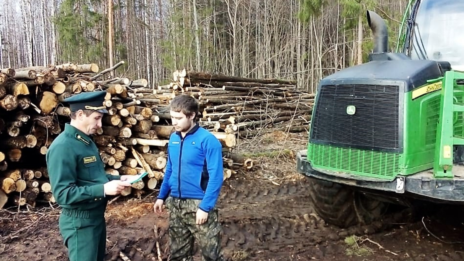 Гку рт. Лесное хозяйство Татарстана. Красноборская Дубрава Агрызский район. Красноборское лесничество. Агрызское лесничество.