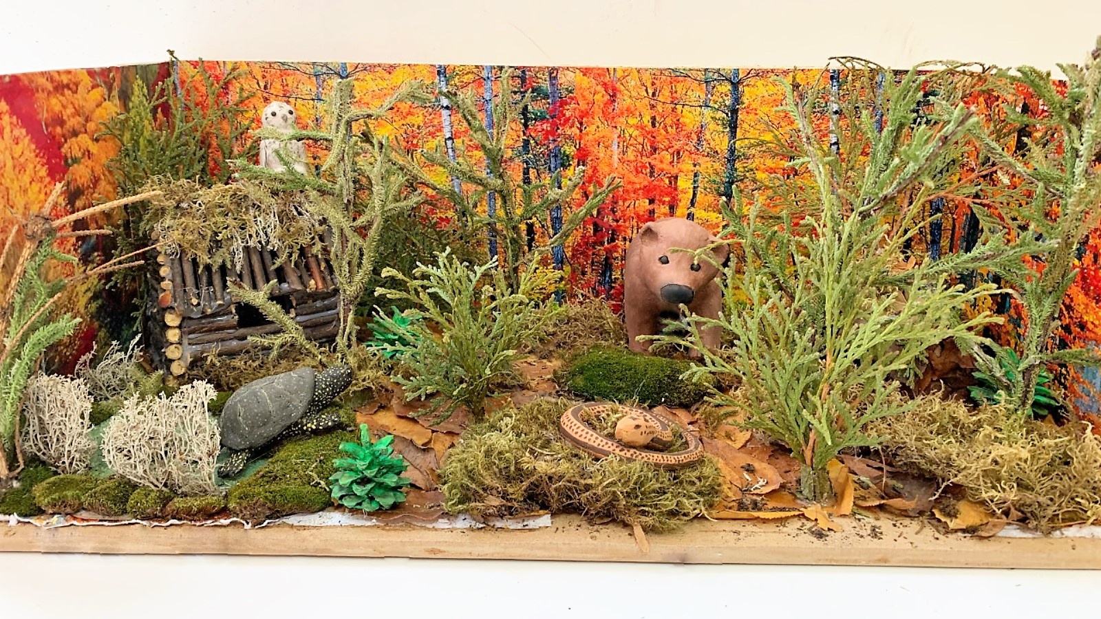 Жыныстық әйел жануары