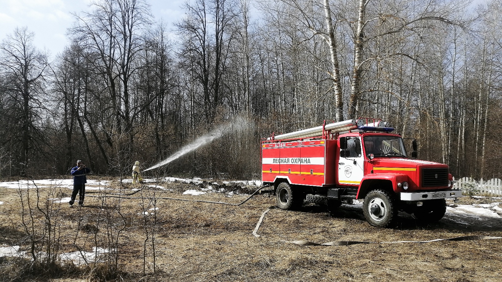 Министерство лесного хозяйства Республики Татарстан