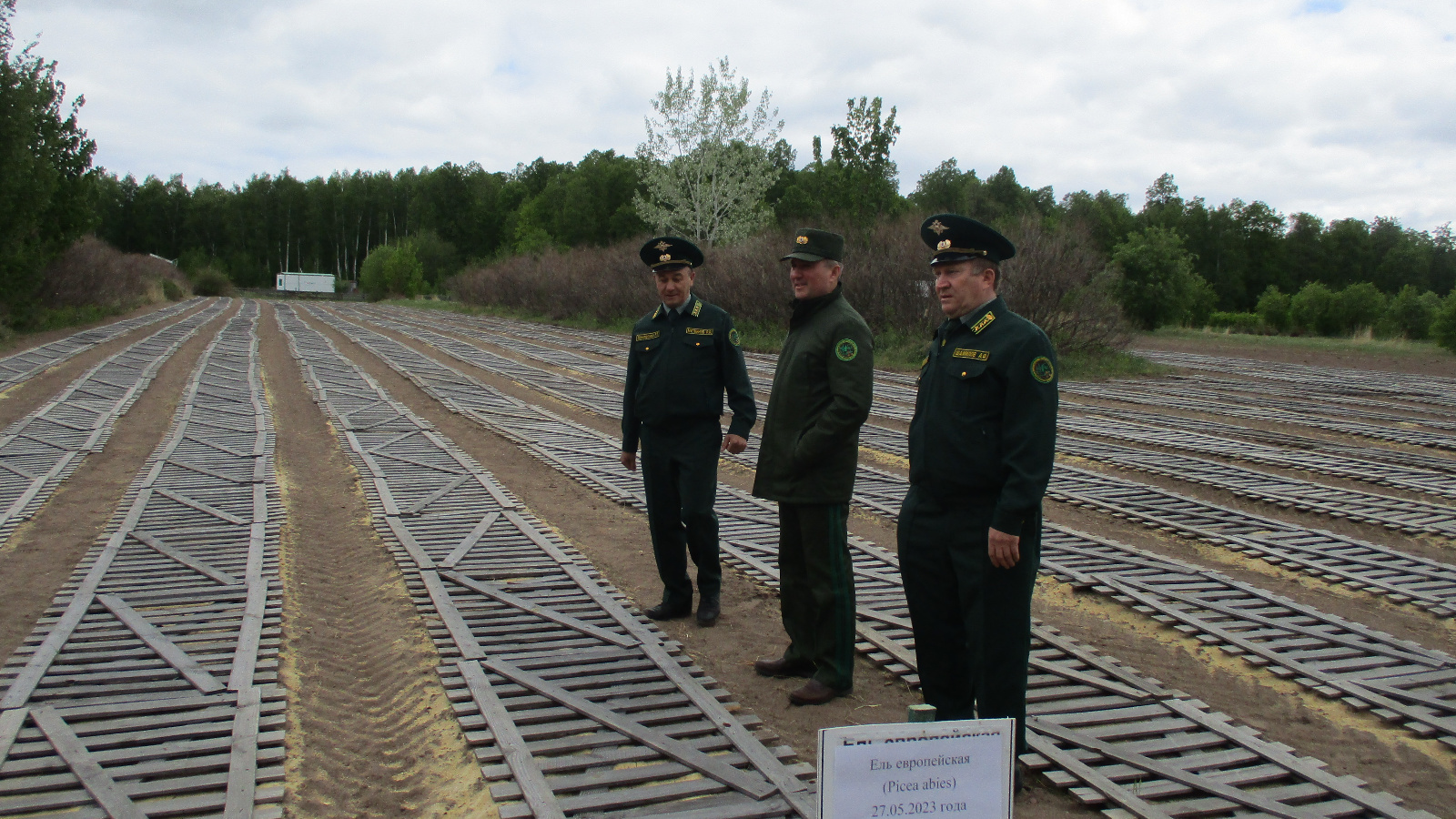 153 гвардейский стрелковый полк