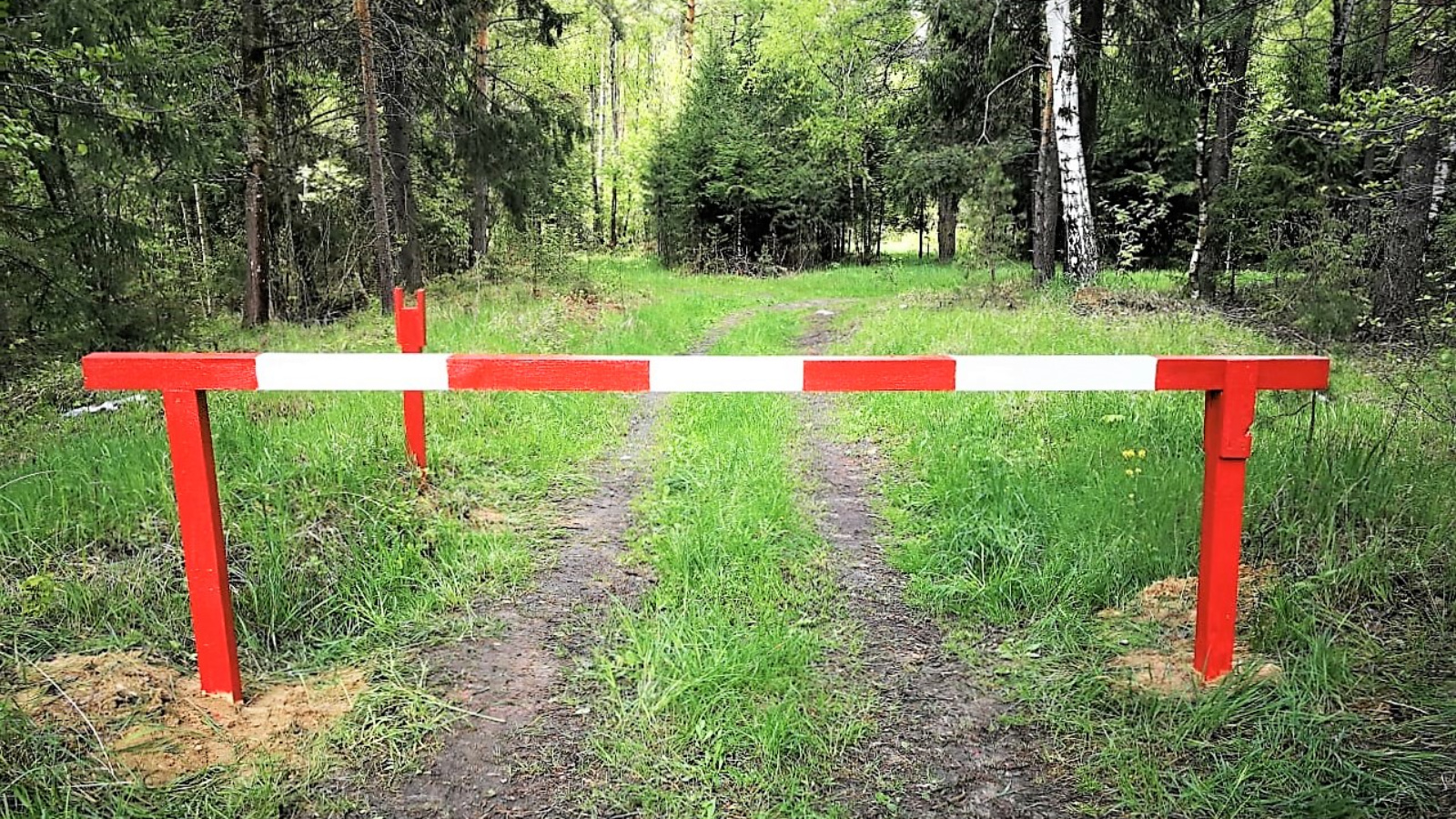 В Татарстане введено очередное временное ограничение на посещение лесов |  07.07.2023 | Казань - БезФормата