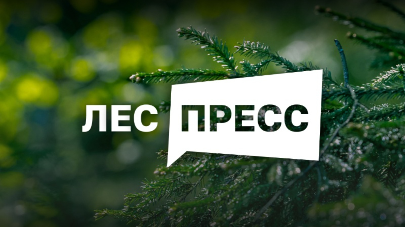 Рослесхоз: открыт прием заявок на II Всероссийский конкурс для журналистов  и блогеров «ЛЕС-ПРЕСС» | 04.06.2024 | Казань - БезФормата