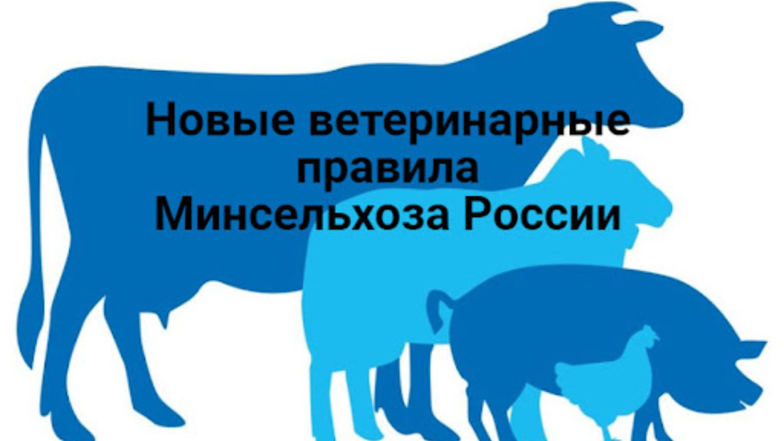 Главное управление ветеринарии Кабинета Министров Республики Татарстан