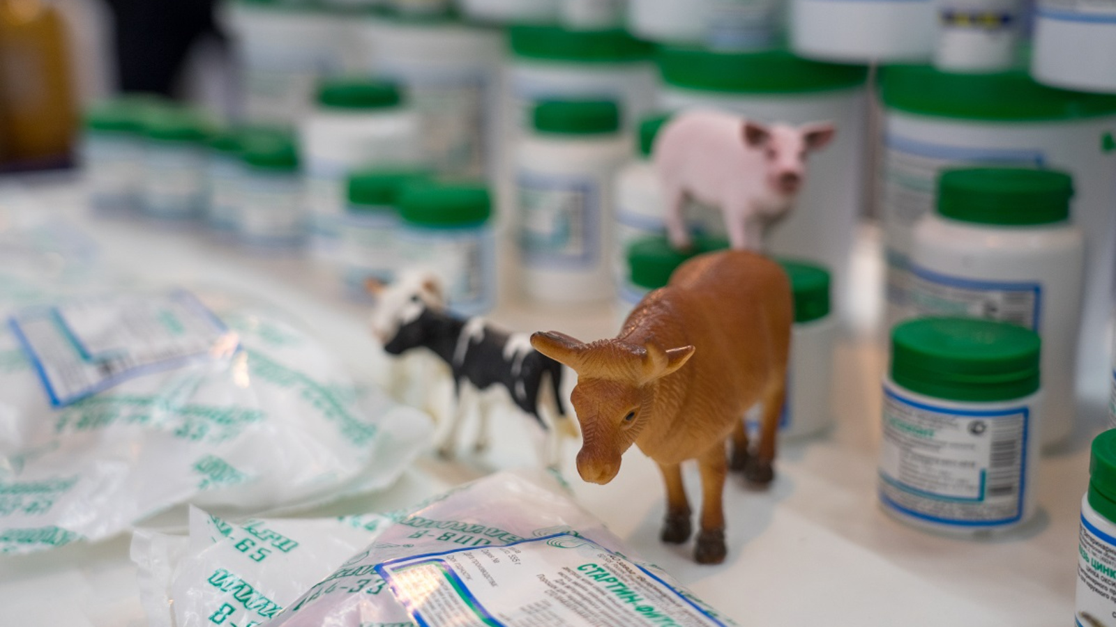 Нормы учета для домашних животных в разработке