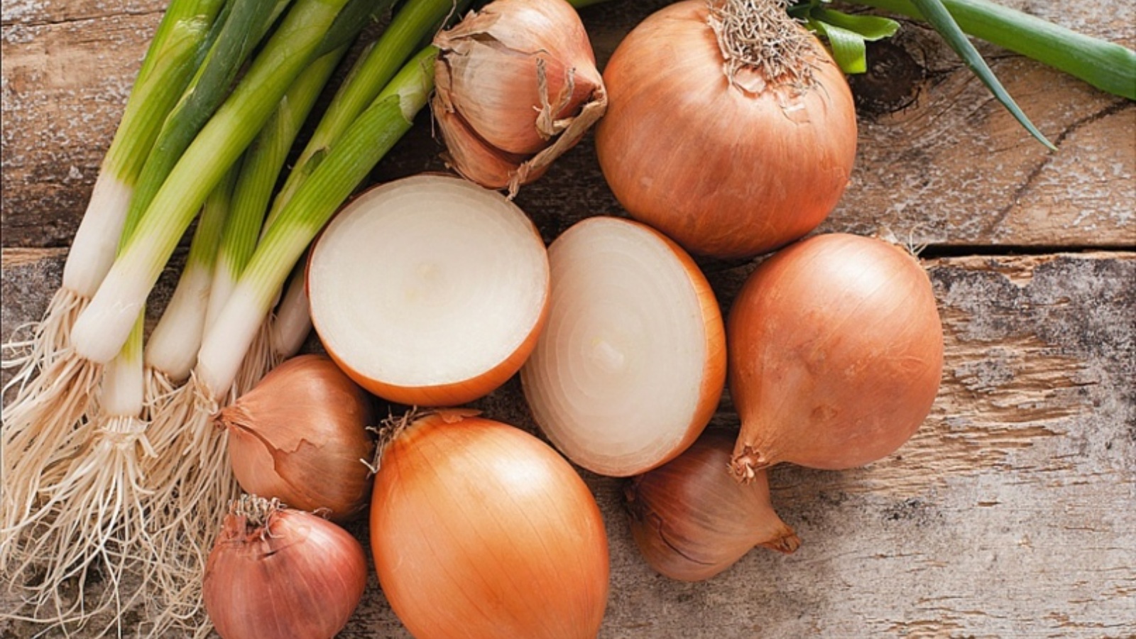 Лук севок штуттгартер ризен. Интересное о луке. Лук и лук. Лук омонимы. Чем полезен лук репчатый.