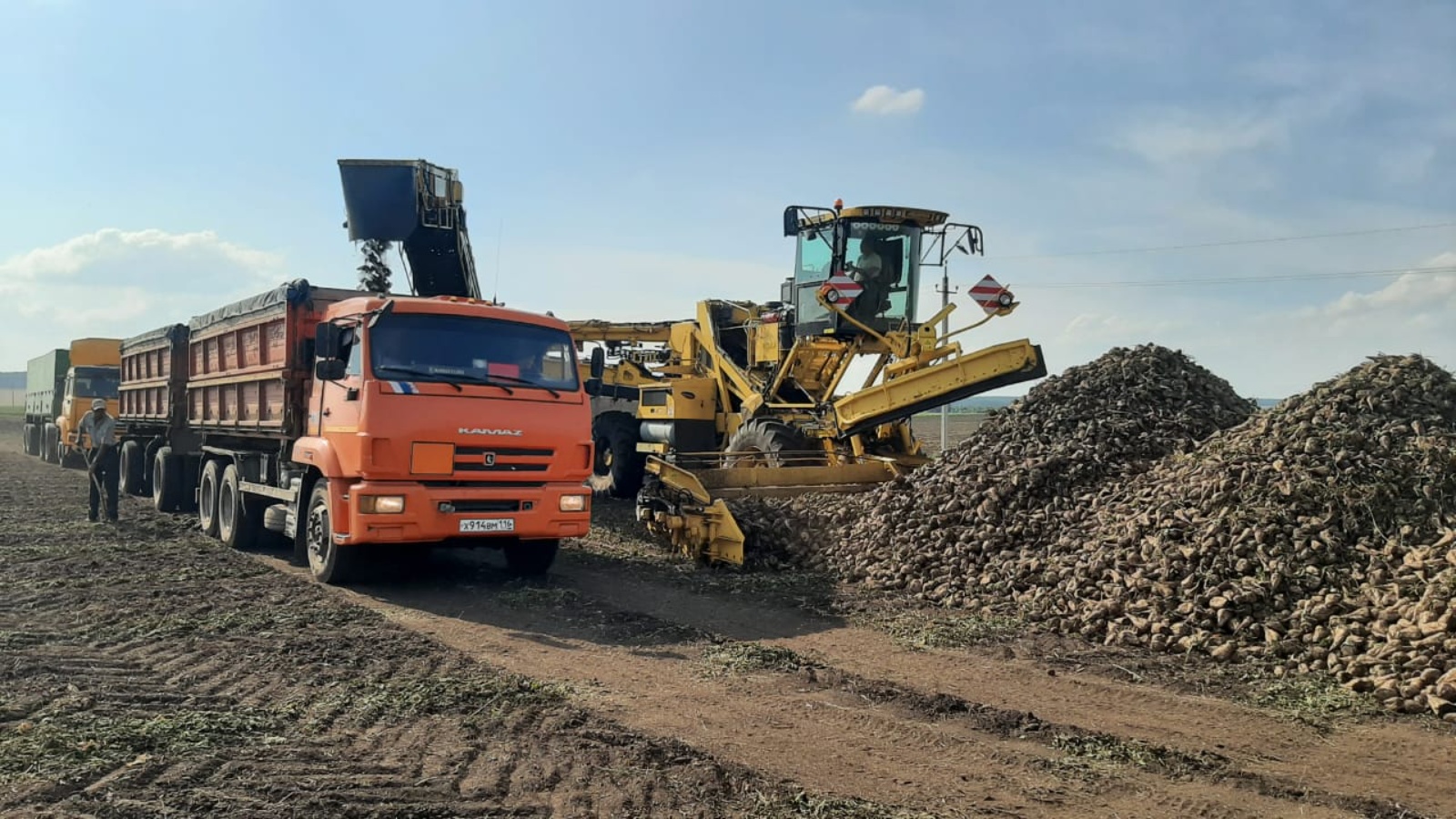 Министерство сельского хозяйства и продовольствия Республики Татарстан