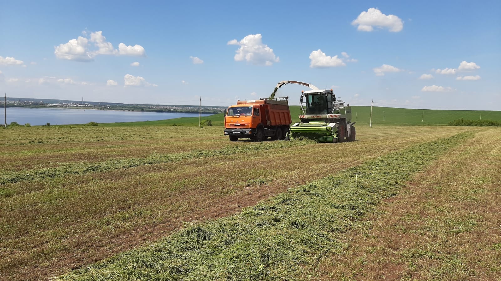 Министерство сельского хозяйства и продовольствия Республики Татарстан