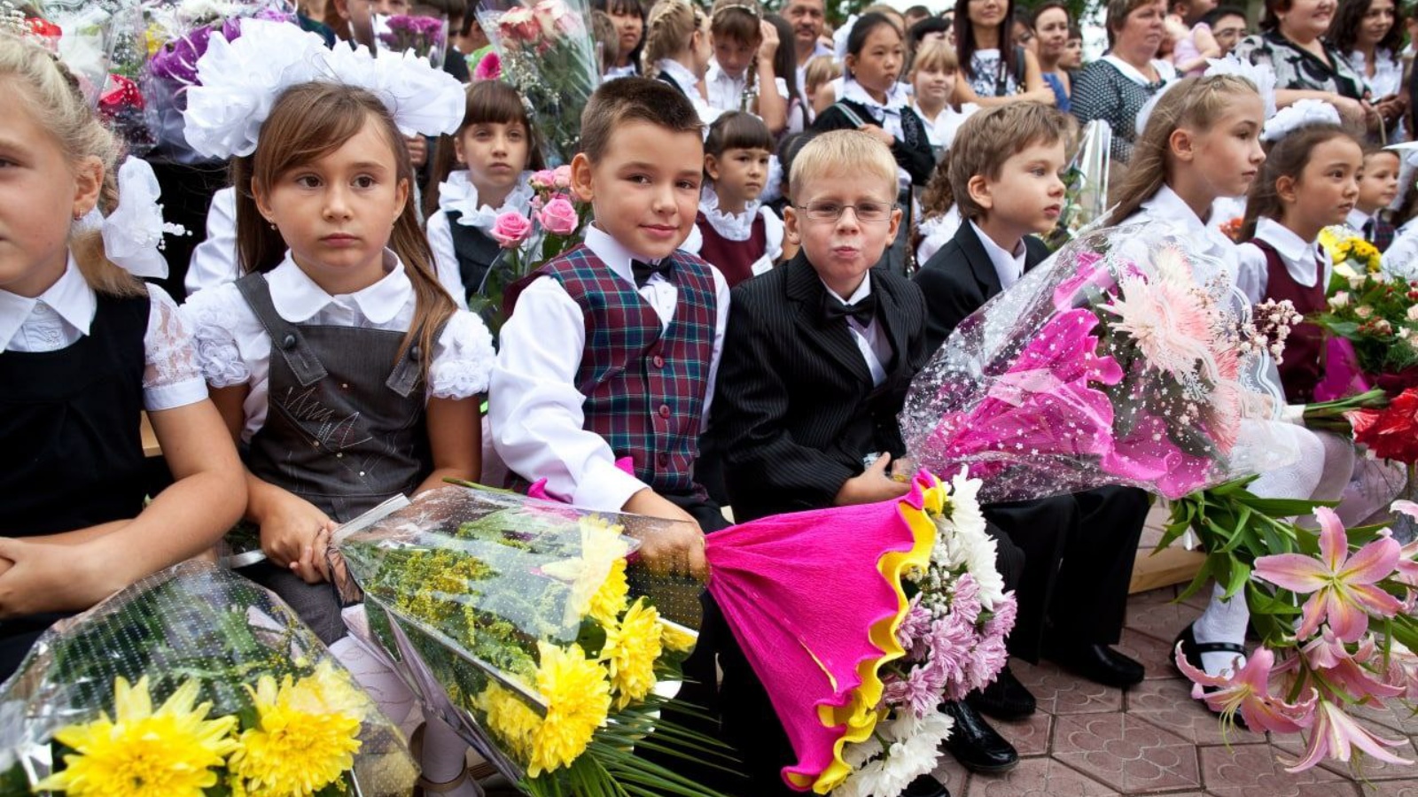 Нова школа 1 класс. Фото первоклассников. Школьная форма для первоклашек. Девочка первоклассница. День знаний.