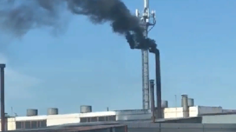 экологи набережные челны. свалка набережные челны. минэкологии набережные челны. набережные челны завод камаз. тэц набережные челны.