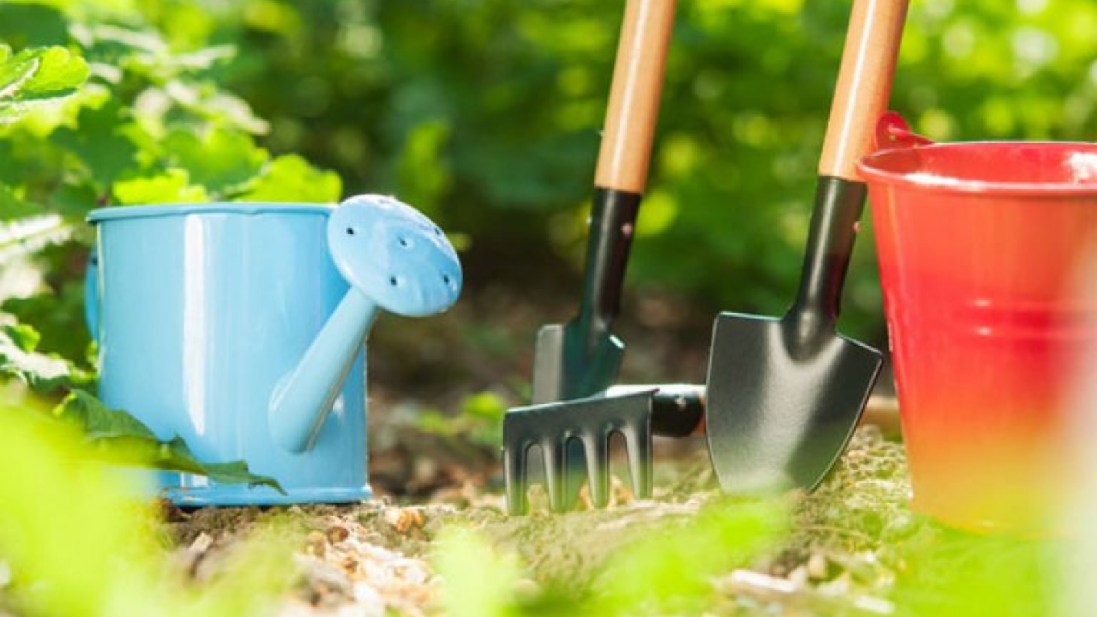 Инструменты для садоводов и огородников
