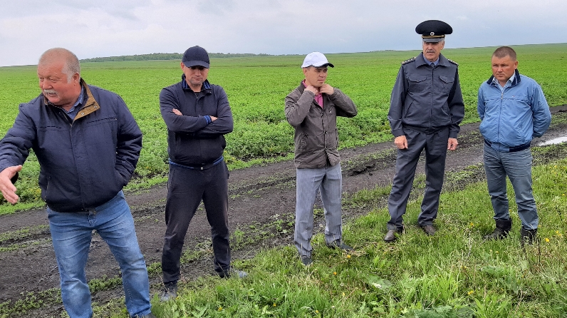 Рп5 татарстан. Дунаев Владимир Анатольевич Новошешминск. АГРООСНОВА Татарстан Новошешминский район директор. Рафаэль Калимуллин Новошешминский район. Новошешминск администрация.