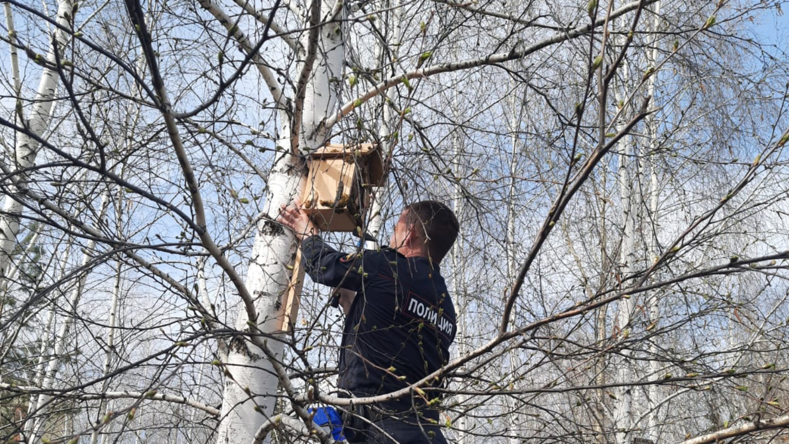 В детском саду 