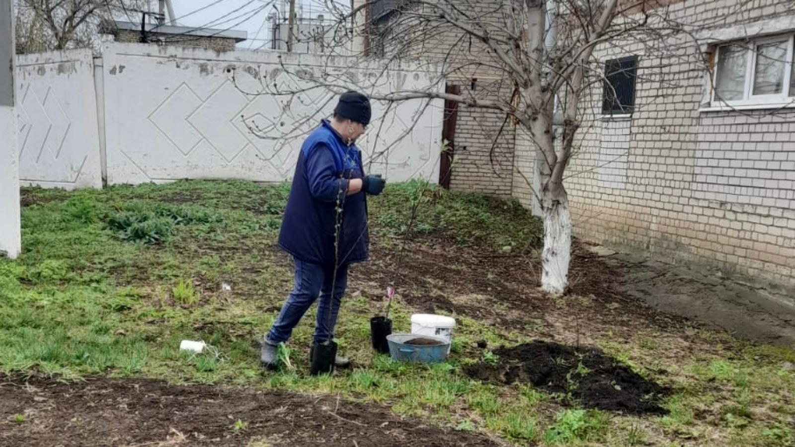 В музейном саду были высажены яблони, кустарники | 27.04.2023 | Заинск -  БезФормата