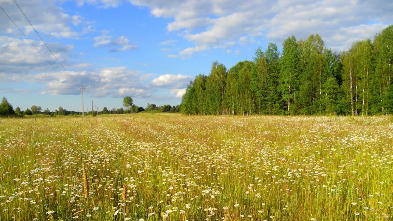 Картинка июль