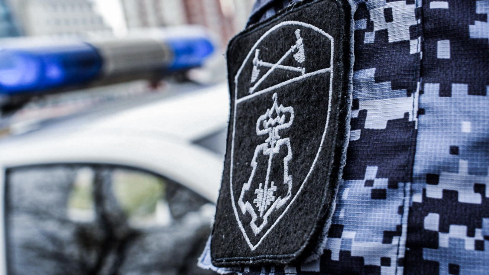 В Казани наряд Росгвардии задержал подозреваемого в краже оргтехники из торгового центра