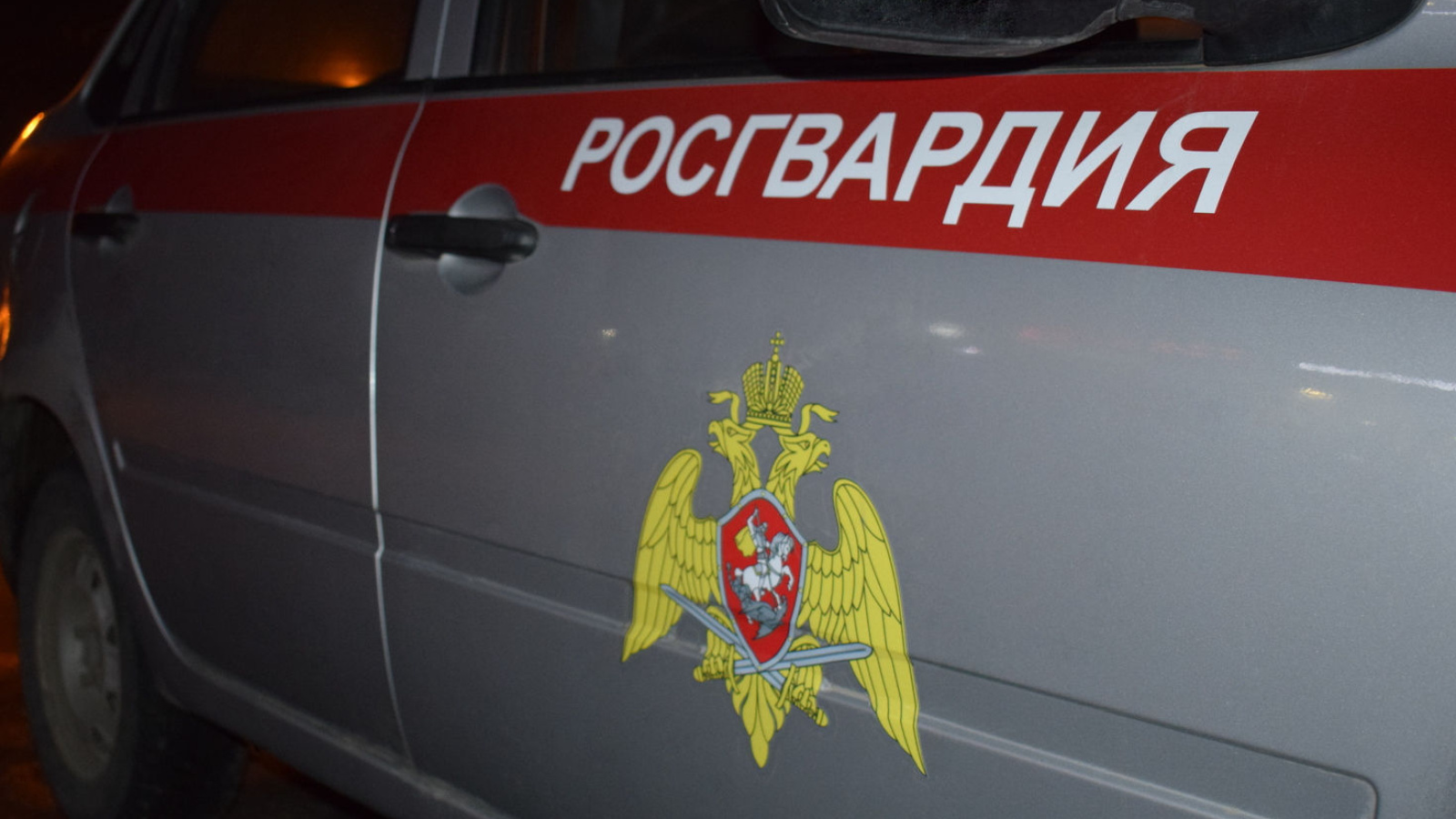 В Татарстане сотрудники Росгвардии задержали двух неоднократно судимых граждан, подозреваемых в незаконном проникновении в магазин и краже товара