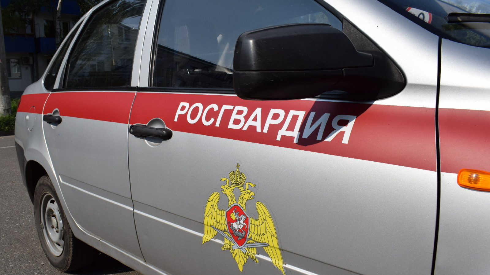 В Набережных Челнах сотрудники Росгвардии задержали подозреваемую в краже из строительного гипермаркета