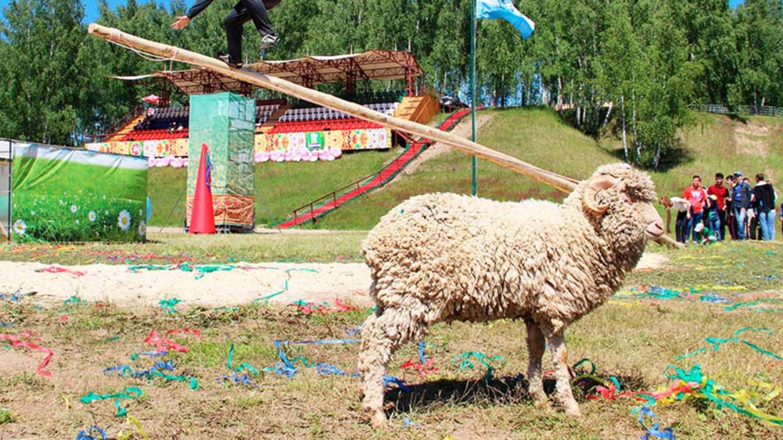 Зеленодольский муниципальный район