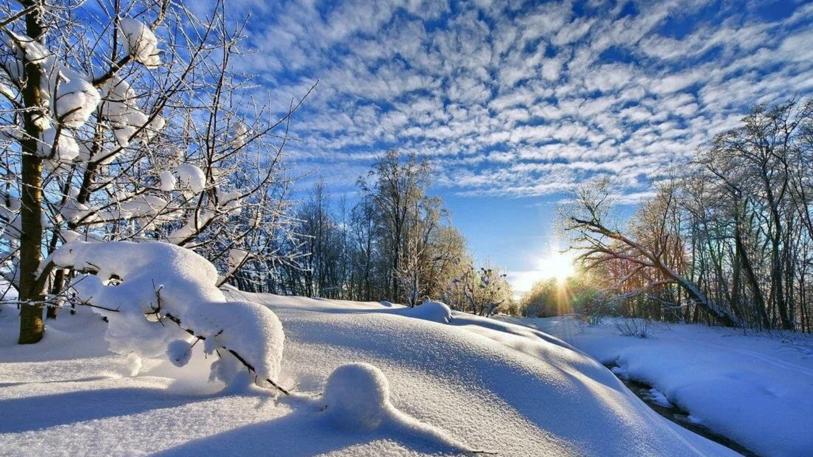 Декабрь сугробы. Зима февраль. Солнечный зимний день. Красивый февраль. Зима январь.