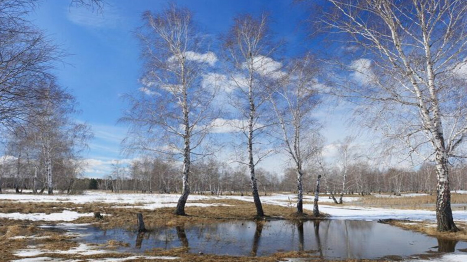 Россия Весна Фото Гугл