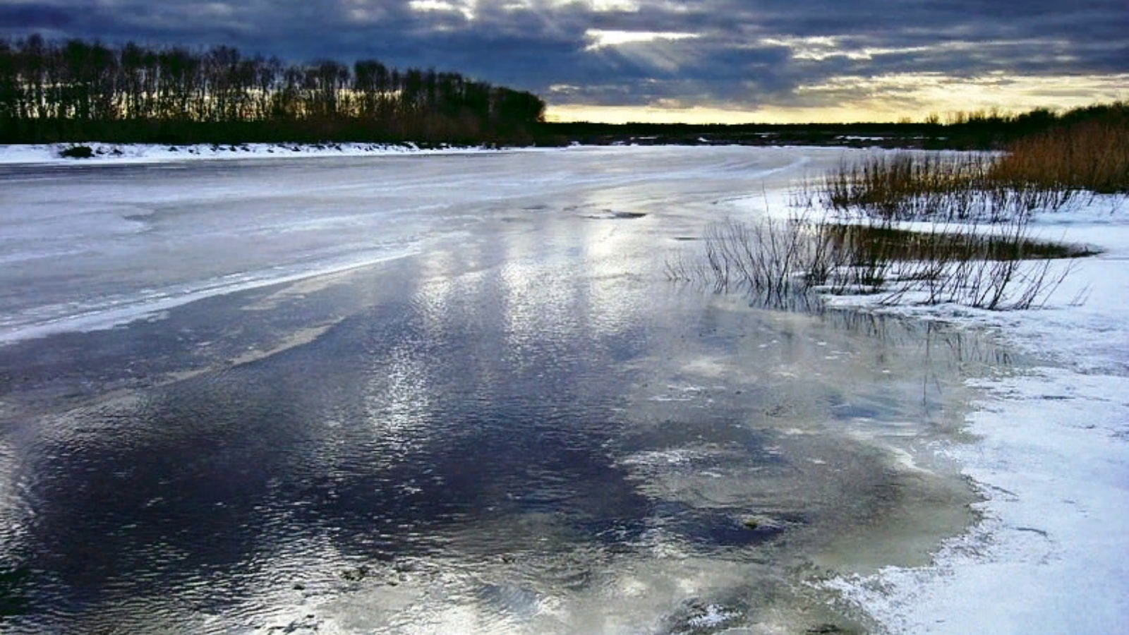 Водоемы тонкий лед. Тонкий лед. Лед на реке. Тонкий лёд на реке. Неокрепший лед.