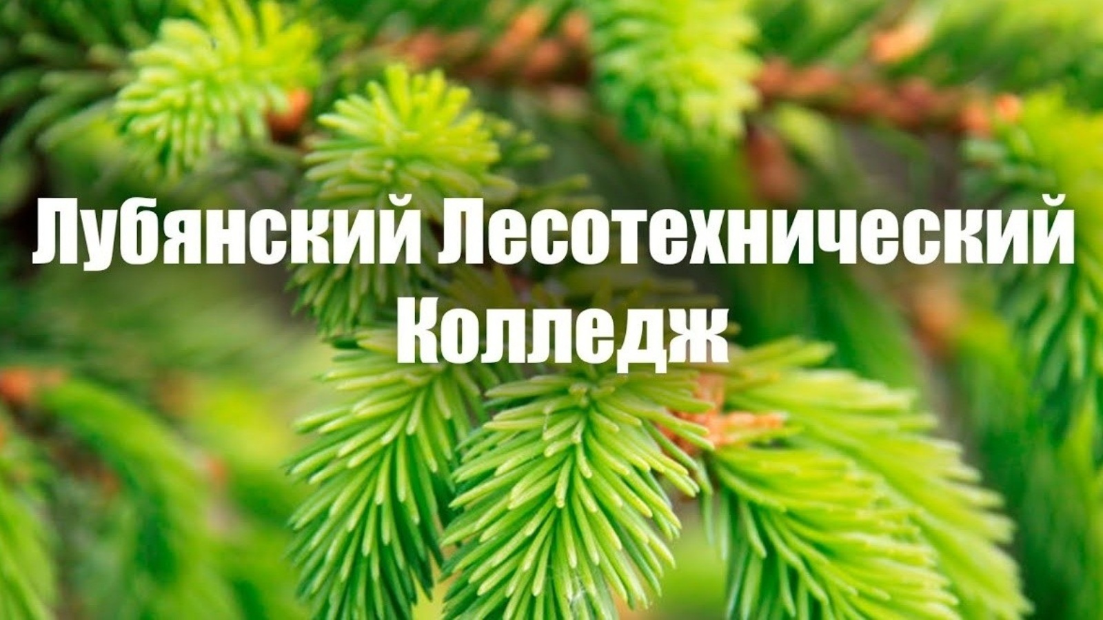 Лубянский лесотехнический